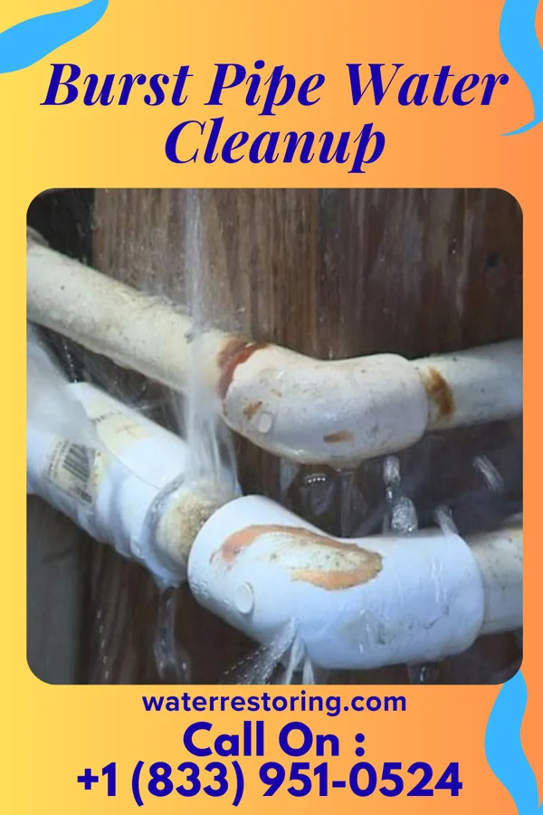Burst Pipe Water Cleanup in Marcus, WA