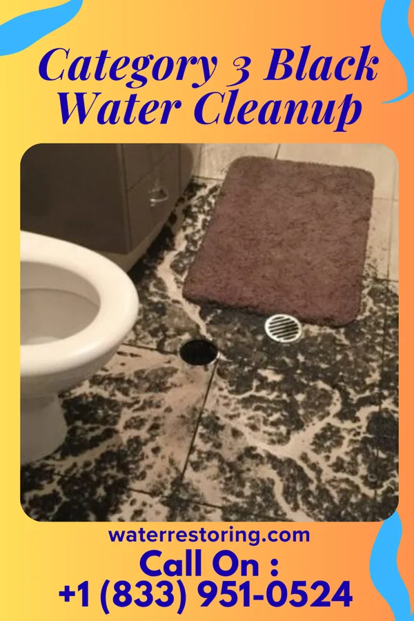 Category 3 Black Water Cleanup in Marcus, WA