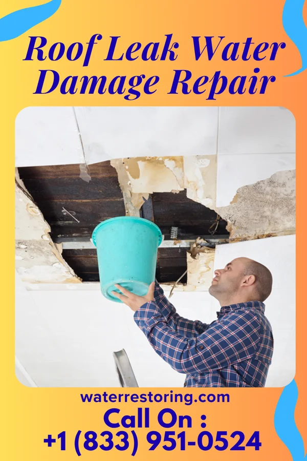 Roof Leak Water Damage Repair in Marcus, WA