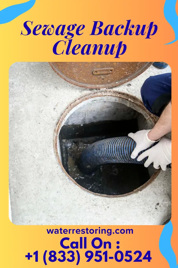 Sewage Backup Cleanup in Marcus, WA