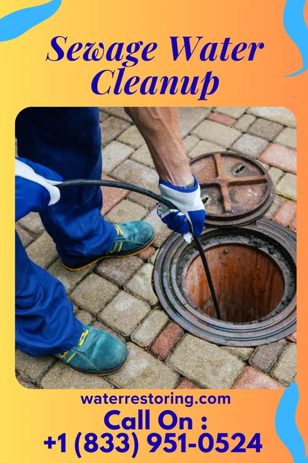 Sewage Water Cleanup in Marcus, WA