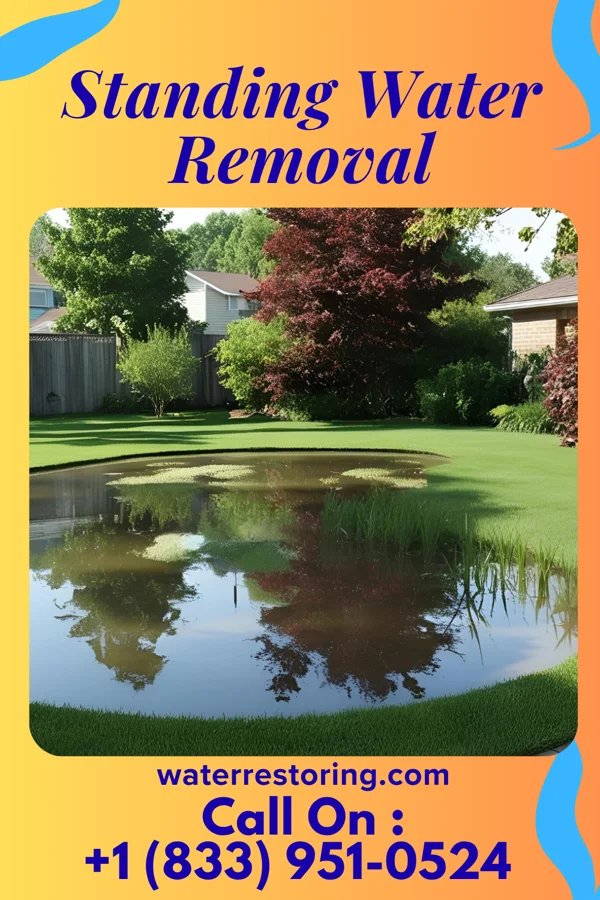 Standing Water Removal in Marcus, WA